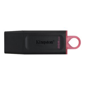 PENDRIVE 256 GB KINGSTON EXODIA DTX/256GB